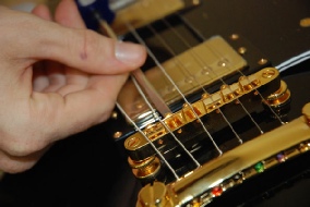 guitar bridge saddle