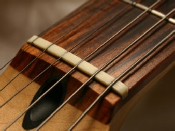 Inlaid Guitar Nut