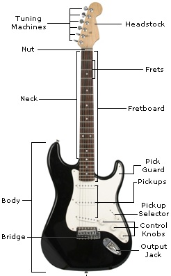 electric guitar setup parts of the guitar